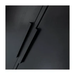 Adam 2-deurs Kledingkast grenen zwart 100cm