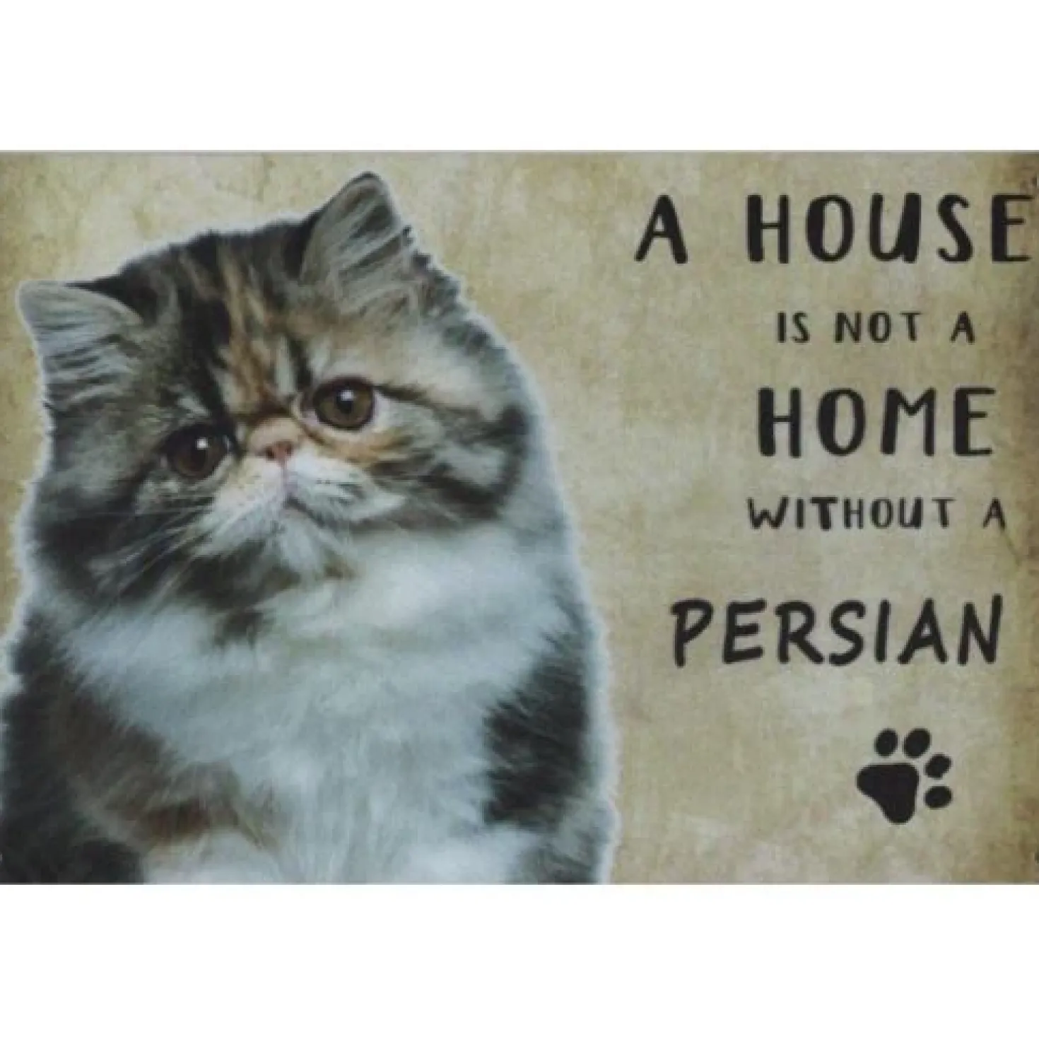 A home Persian Cat - metalen bord