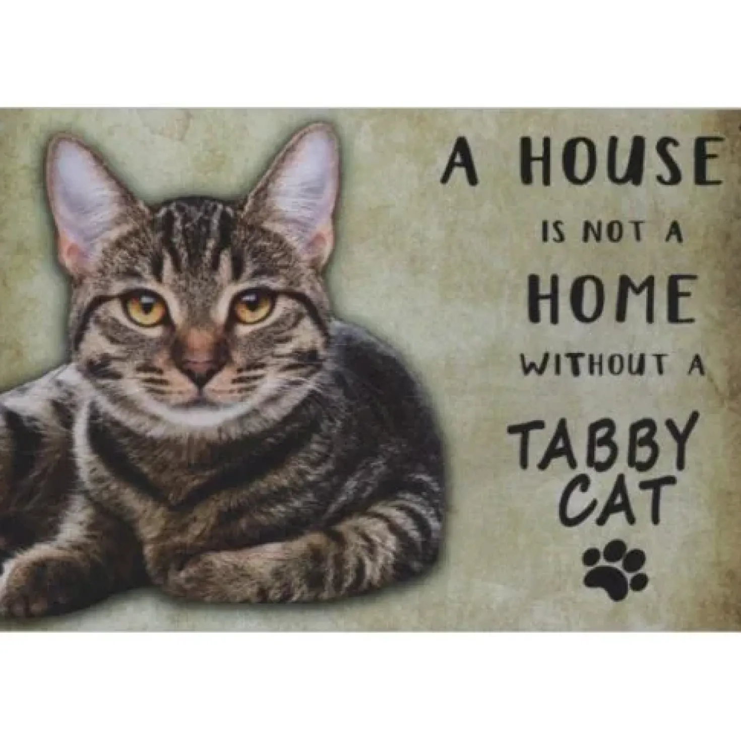 A home Tabby Cat - metalen bord