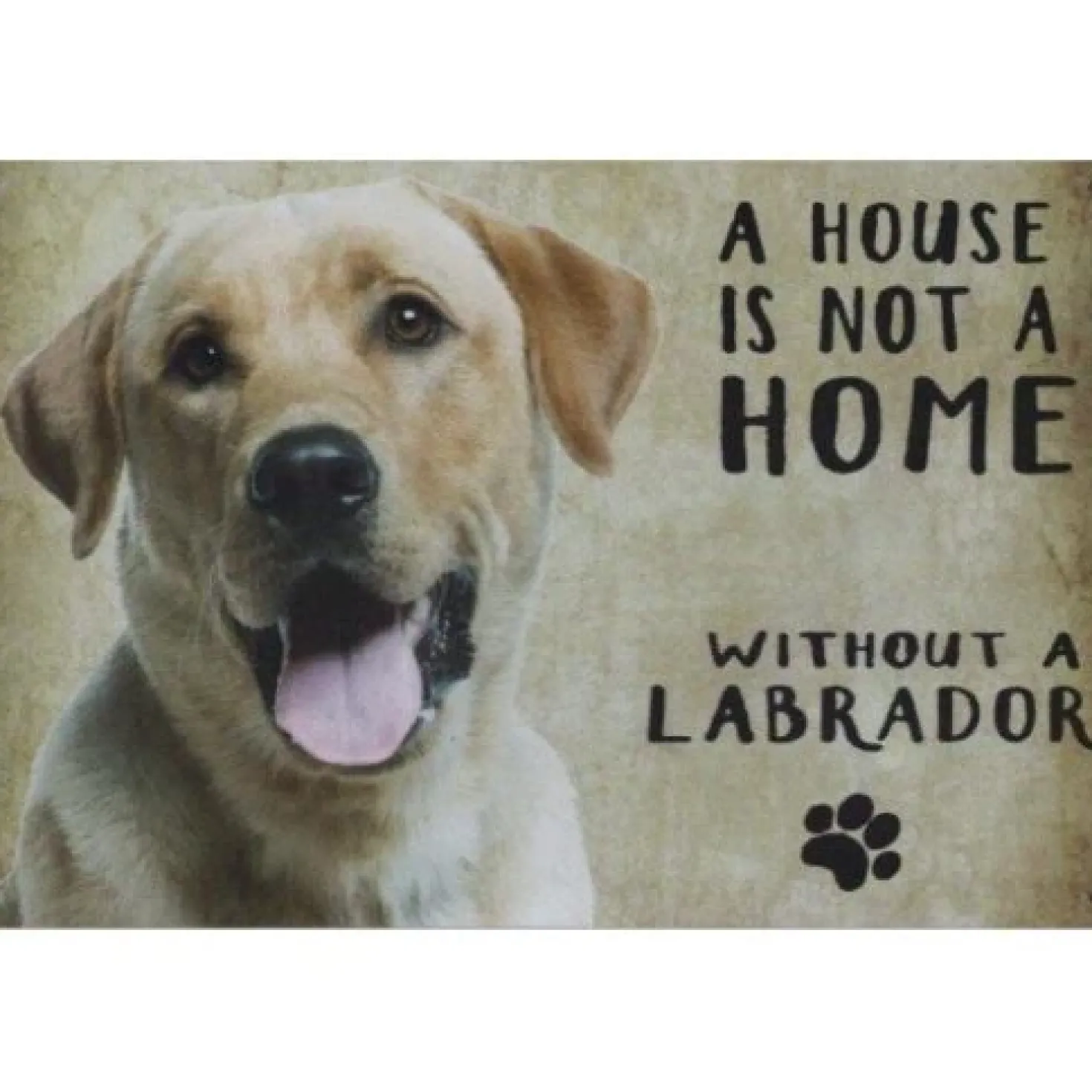 A home White Labrador - metalen bord