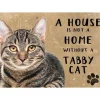 A House is not a Home Tabby Cat - metalen bord
