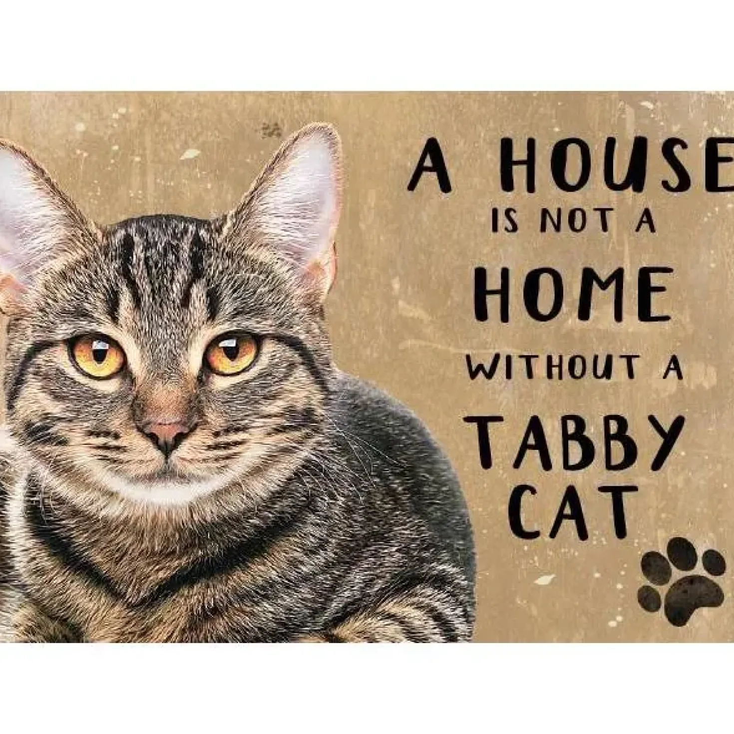 A House is not a Home Tabby Cat - metalen bord
