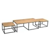 Alaska Salontafel Set van 3 rechthoekig Mangohout 120cm