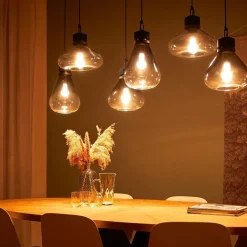 Demeter Hanglamp 6-lichts glas E27