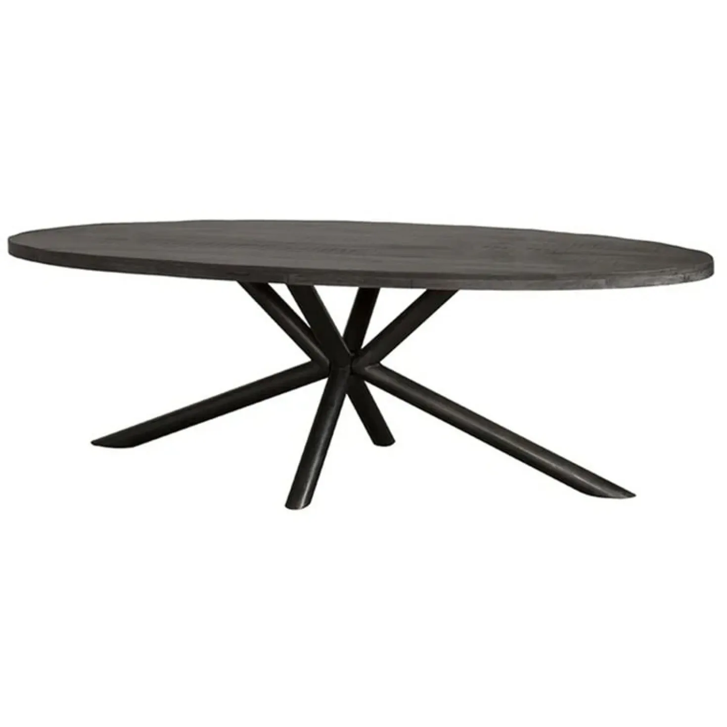 Diego Eettafel ovaal zwart mangohout 200×100