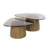 Dominick Salontafel set van 2 driehoekig Brons glas