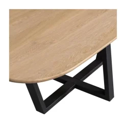 Drenthe Tafel poot metaal zwart