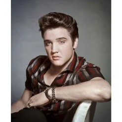 Elvis Presley portret - metalen bord