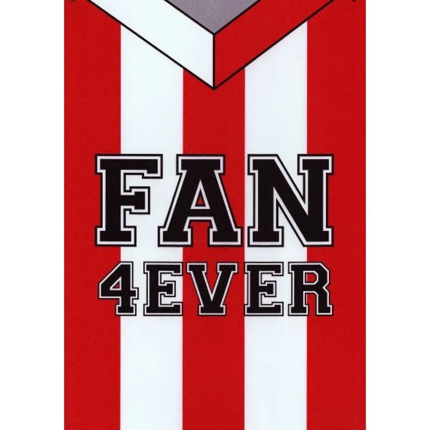 Fan 4 Ever Voetbal Eindhoven - metalen bord