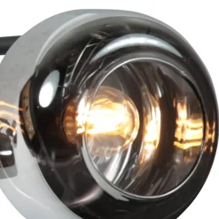 Gabriella 2-lichts Plafondlamp Smoke Glas