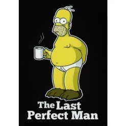 Homer the last perfect man - metalen bord