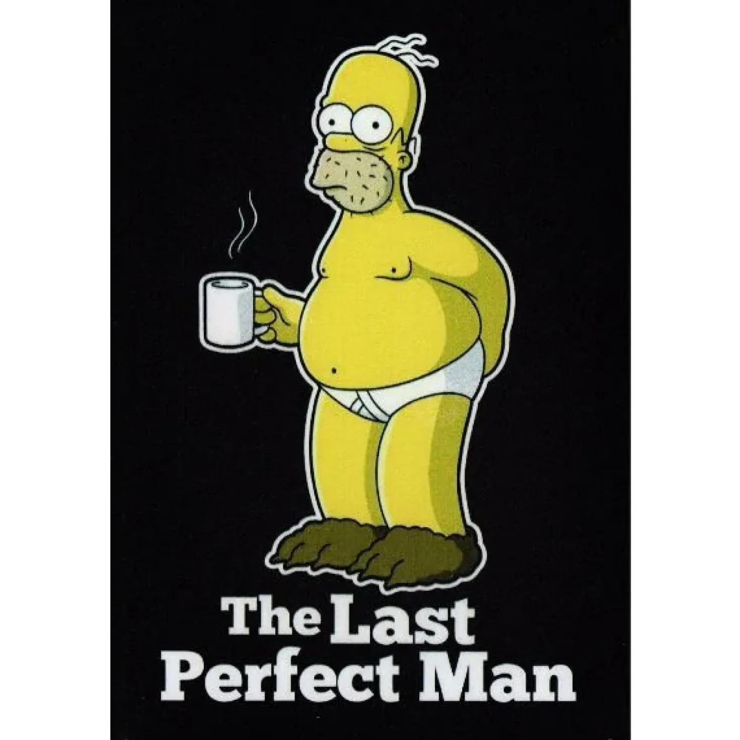 Homer the last perfect man - metalen bord