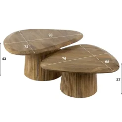 Jean Salontafel set van 2 driehoekig Mangohout