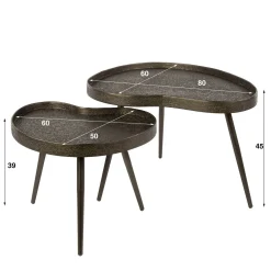 Kyra Salontafel set van 2 niervormig Brons