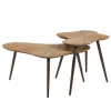 Loma Salontafel organisch Set van 2