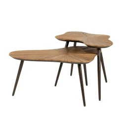Loma Salontafel organisch Set van 2
