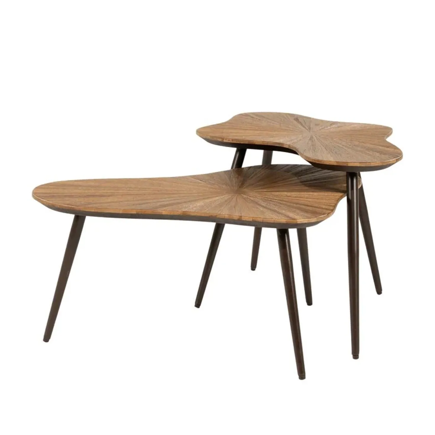 Loma Salontafel organisch Set van 2