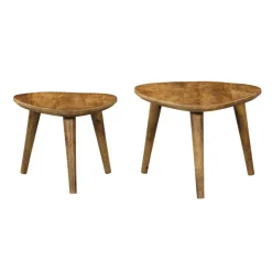Mano salontafel set van 2