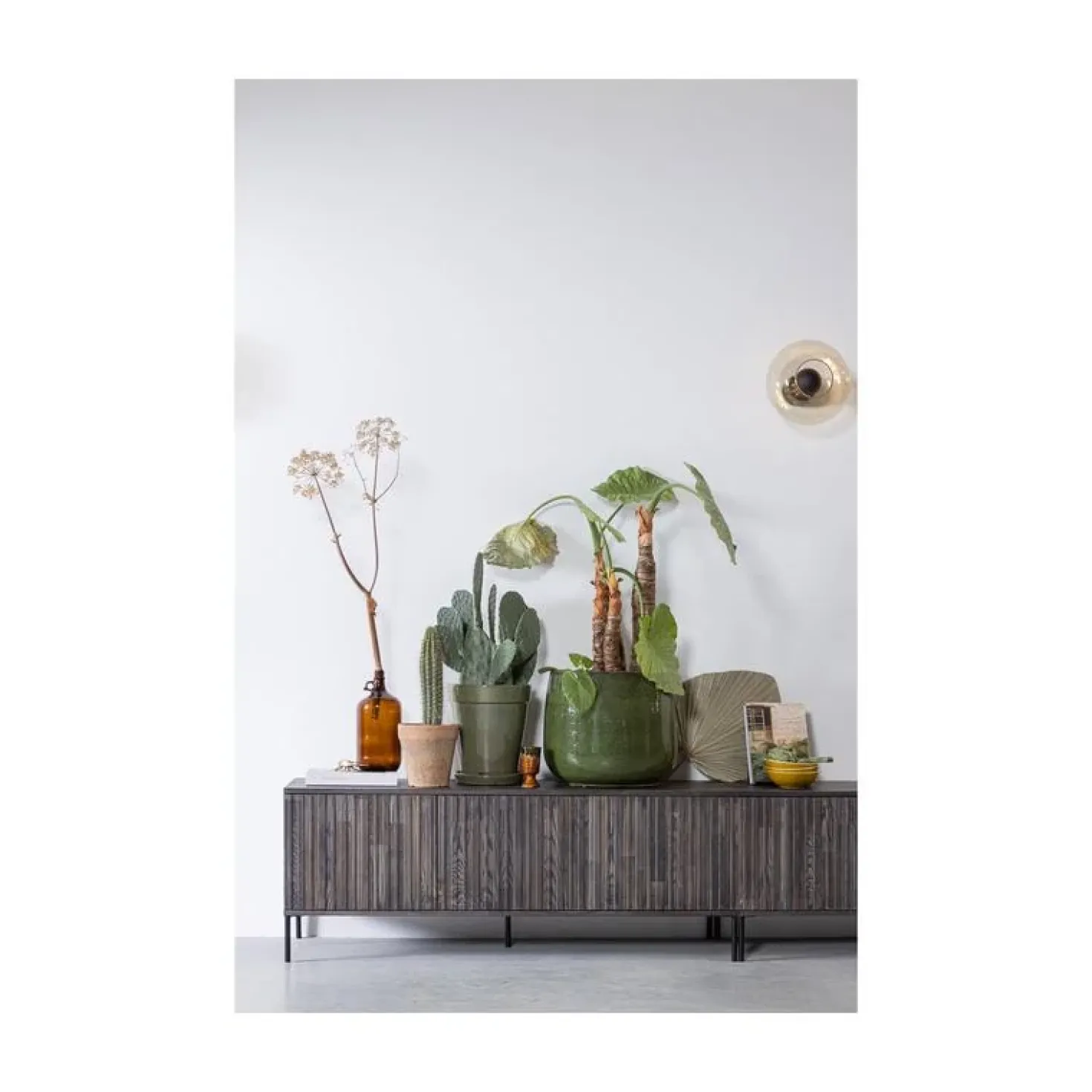 New Gravure Tv meubel essen fineer espresso 100 cm