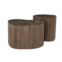 Nice Salontafel organisch Set van 2 Bruin