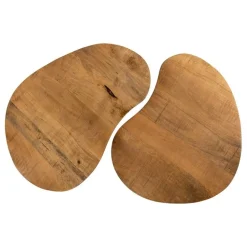Noli Salontafel set van 2 organisch Mangohout
