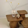 Pauli Salontafel 80cm Mangohout Walnoot