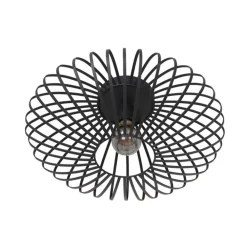 Plafondlamp Dunbar Zwart