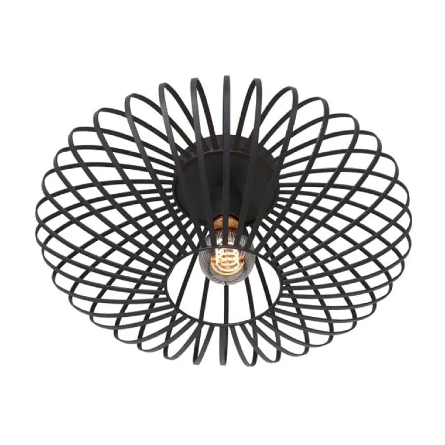 Plafondlamp Dunbar Zwart