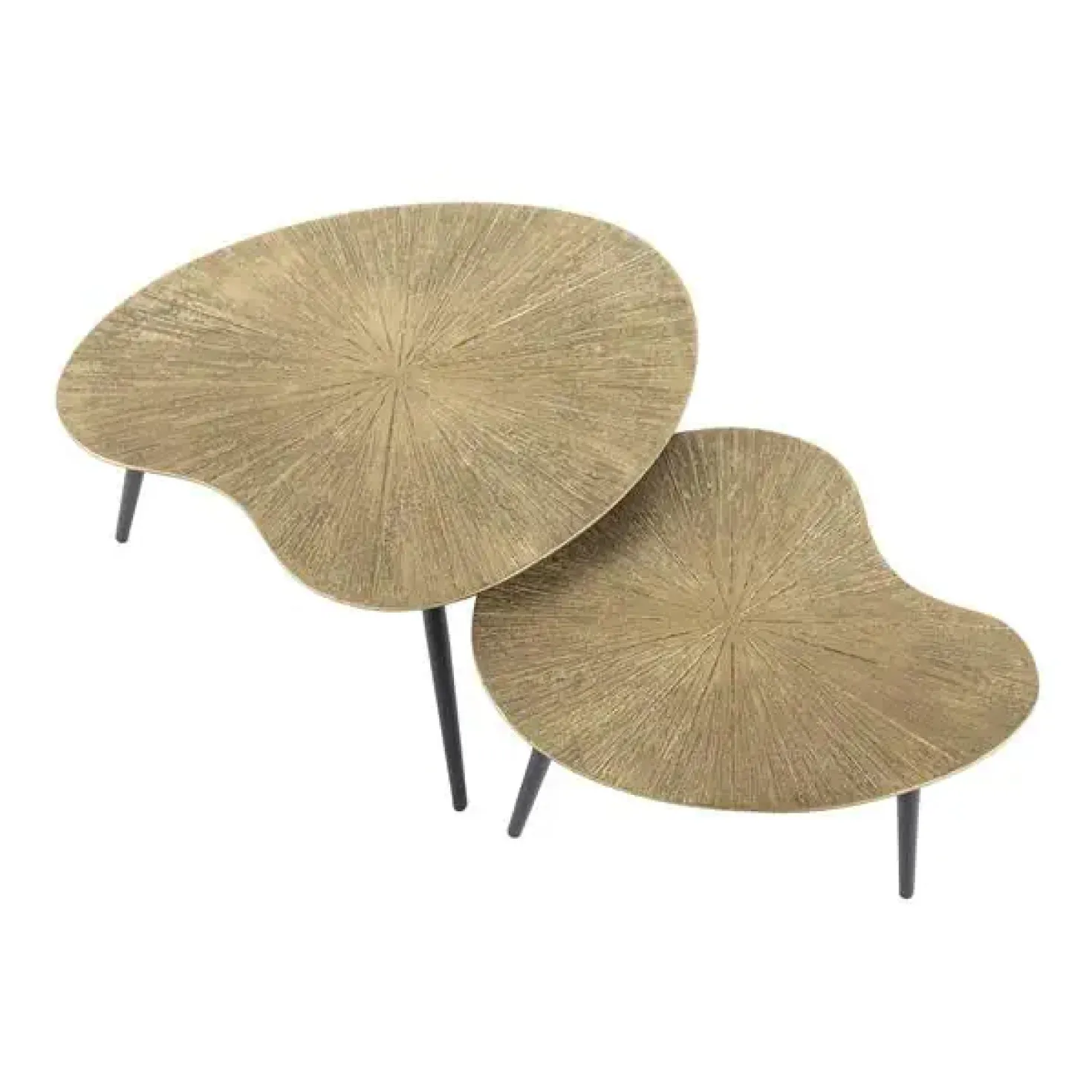 Rivo Salontafel set van 2 Niervorm Brons