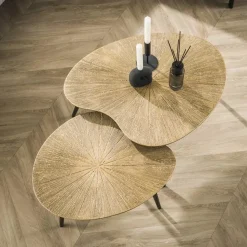 Rivo Salontafel set van 2 Niervorm Brons