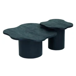 Rosetta Salontafel Organisch Zwart 98cm