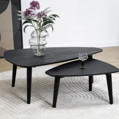 Salontafel Isla set van 2 zwart 110/71cm