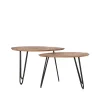 Salontafel set van 2 Frisk Mangohout 68cm