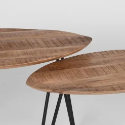 Salontafel set van 2 Frisk Mangohout 68cm