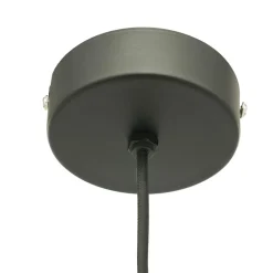 Shanga 1-lichts Hanglamp Peer