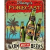 Todays forecast Beers metalen bord