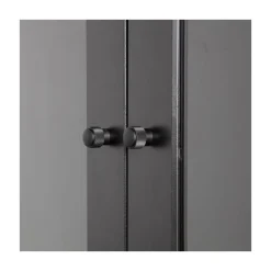 Xam Vitrinekast Grenen Zwart 100cm