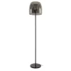 Zeldana 1-lichts Vloerlamp Smoke glas